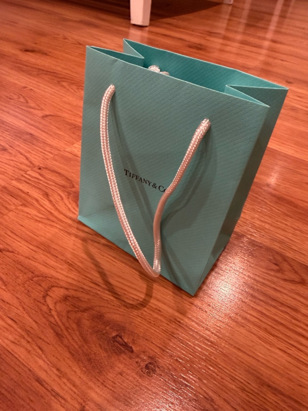 Tiffany & Co shopping bag - small